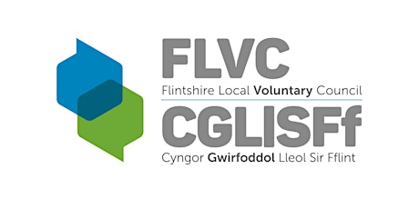 FLVC Children and Young People’s Network Meeting