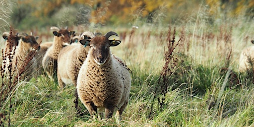 Primaire afbeelding van Fashion as a force for nature