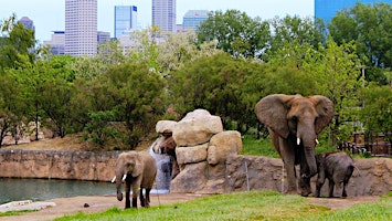 Immagine principale di Indianapolis Zoo 
