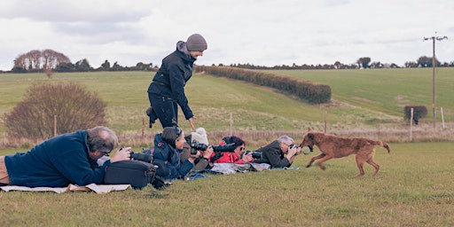 Primaire afbeelding van Dogs in Action Photography Workshop