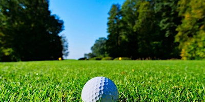 Hauptbild für Links to the Community: Top Golf Outing to Support Loudoun Volunteer Caregivers