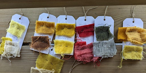 Lliwiau Naturiol gyda / Natural Dyes with Sian Lester primary image