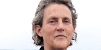 Imagem principal do evento Great Minds Are Not All the Same with Dr. Temple Grandin