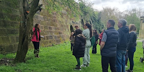 Spring Foraging Herbal Medicine Walk