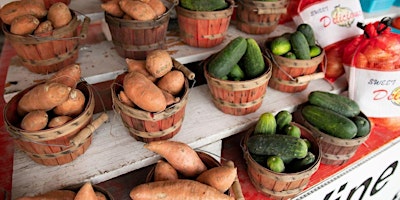 Hauptbild für 7-22-2024   Let's Get Growing Food - the easy way to start growing veggies