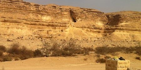 Immagine principale di محمية وادي دجلة المعادي 
