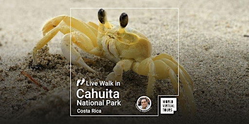 Imagem principal do evento Live Walk in Cahuita National Park - Costa Rica