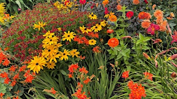 Primaire afbeelding van Garden & Plant Photography with your Smartphone