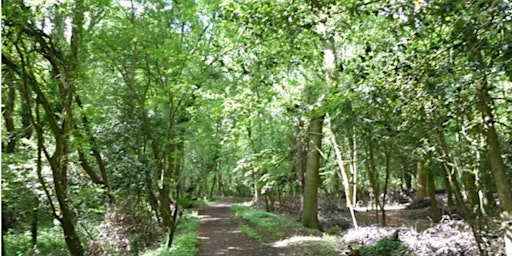 Beautiful Countryside walk – Cockfosters to Enfield Lock primary image