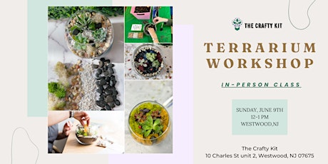 Terrarium Workshop: In-Person Workshop