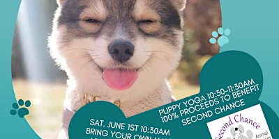 Imagem principal do evento Puppy Yoga at Deep Roots Distillery USA to Benefit Second Chance