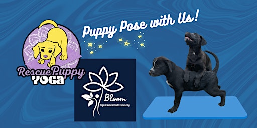 Imagem principal do evento Rescue Puppy Yoga - Bloom Yoga Studio