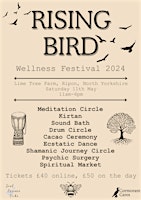 Rising Bird Wellness Festival primary image