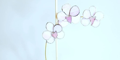 Immagine principale di Stained Glass Orchid 