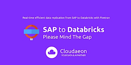 SAP to Databricks: Please Mind The Gap