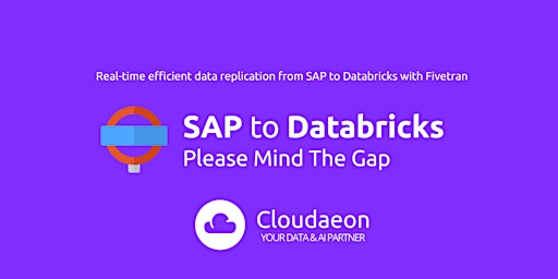 SAP to Databricks: Please Mind The Gap primary image