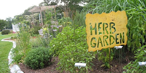 7-27-2024   Growing Herbs in the Florida Garden primary image