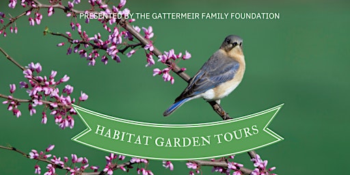 Imagen principal de 2024 Habitat Garden Tours - 7 months of native gardens