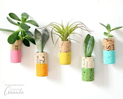 DIY Mini Succulent Magnets w/Wine Corks primary image