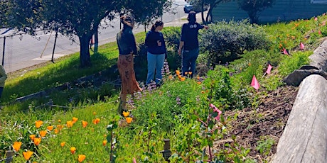 Butterflies and Native Plants Seminar