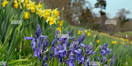 Beginners circular walk around the beautiful village of Mells.