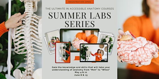 Image principale de Summer Labs Series with Body Labs Yoga & Education