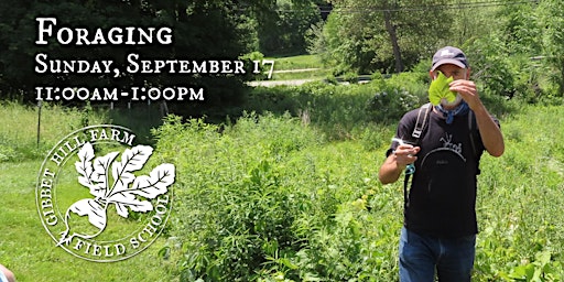 Gibbet Hill Farm Field School • Foraging