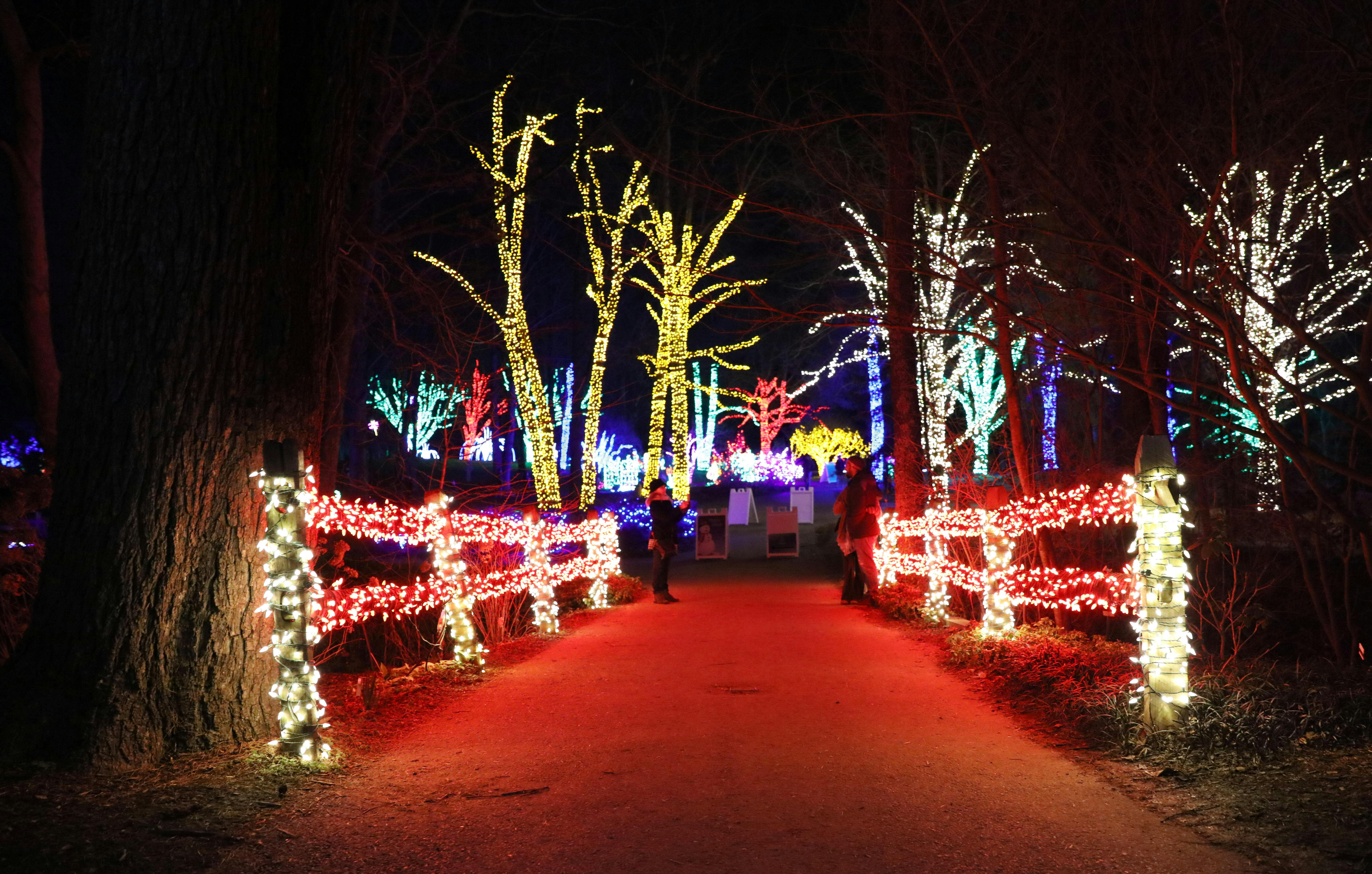 Meadowlark's Winter Walk of Lights