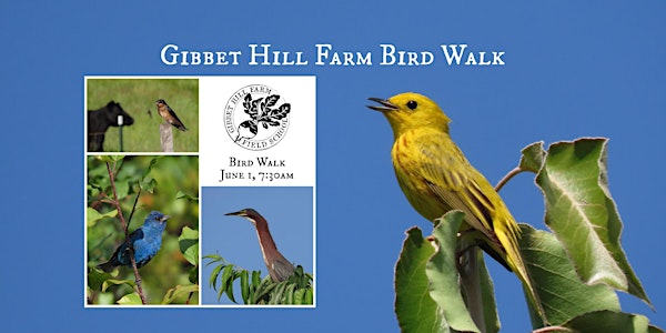 Gibbet Hill Farm Bird Walk