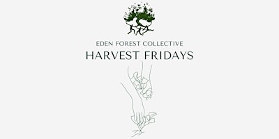 Harvest Fridays primary image