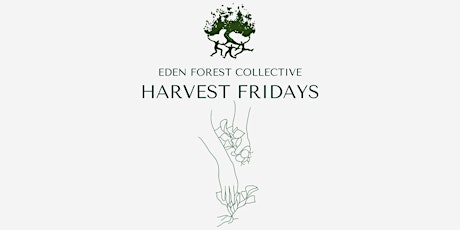 Harvest Fridays