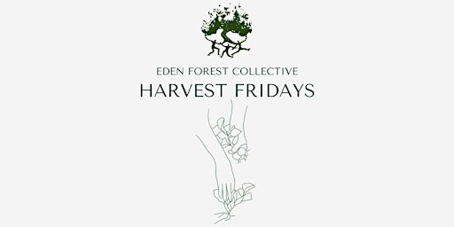 Harvest Fridays  primärbild