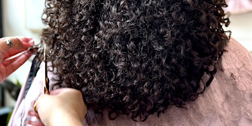 Image principale de Virtual Curly Haircutting Class