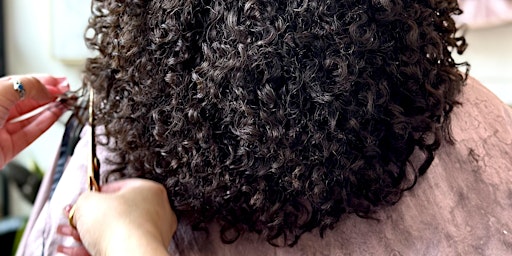 Virtual Curly Haircutting Class primary image