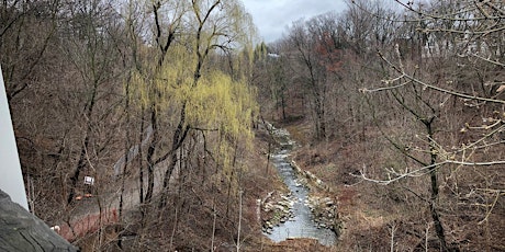 Spring in the Mud Creek Ravine