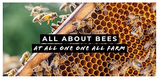 Imagen principal de All About Bees