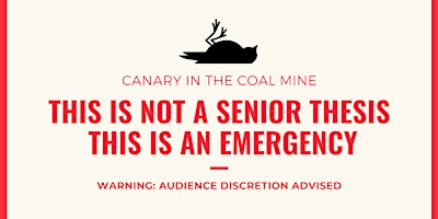 Primaire afbeelding van Canary in the Coal Mine - Dani Moniz DEIA Thesis Fellow MBET Senior Project