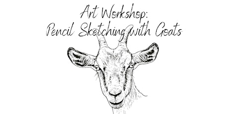 Pencil Sketching with Goats