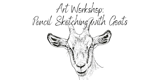 Pencil Sketching with Goats primary image