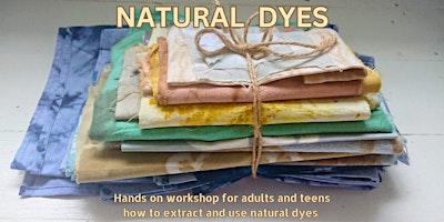 Primaire afbeelding van Natural dyes, botanical prints and Shibori