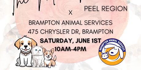 Community Market & Adoptions| Brampton Animal Services X Mom Market Peel