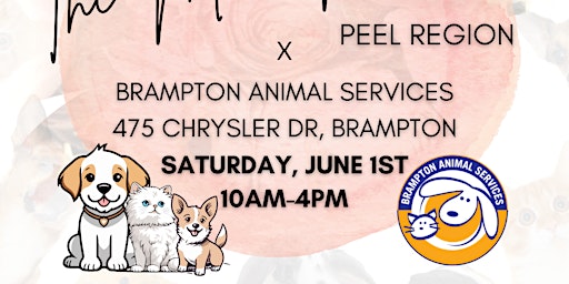 Imagem principal do evento Community Market & Adoptions| Brampton Animal Services X Mom Market Peel