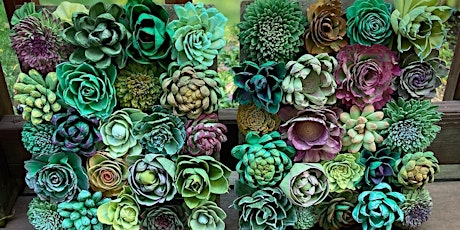Sola Wood Flowers - Succulent Project at The Vineyard at Hershey