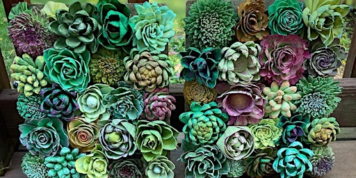 Imagem principal do evento Sola Wood Flowers - Succulent Project at The Vineyard at Hershey
