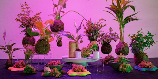 Imagem principal de AAPI Heritage Month - GET MOSSY: Kokedama Workshop