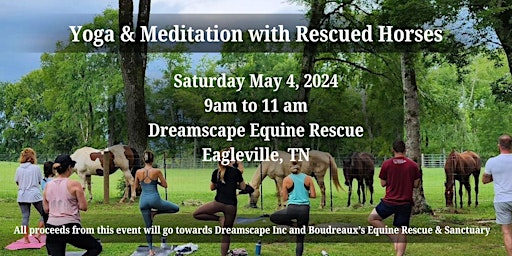 LOCATION CHANGE - Yoga & Meditation with Rescued Horses primary image