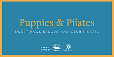 Imagem principal do evento Puppies & Pilates with Sweet Paws Rescue and Club Pilates