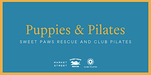 Puppies & Pilates with Sweet Paws Rescue and Club Pilates primary image