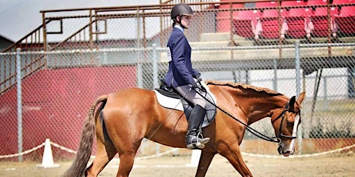 Primaire afbeelding van Performance Horse Show King Co 4-H