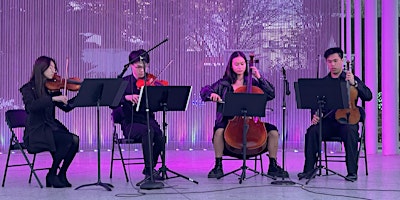 Youth Chamber Concert primary image